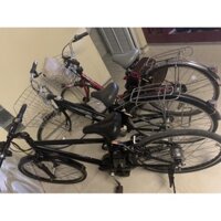 Xe đạp điện Nhật