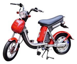 Xe đạp điện Nijia 2016