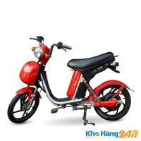 Xe đạp điện Nijia cũ