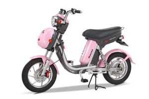 Xe đạp điện Nijia Dibao