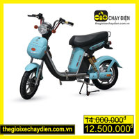 Xe đạp điện Nijia Terra Motors 48V - 20A