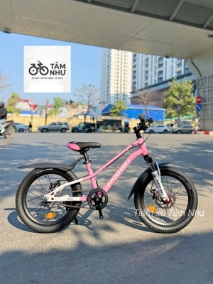Xe đạp điện Nishiki 18