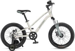 Xe đạp điện Nishiki 18