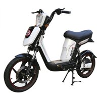 Xe đạp điện PEGA CAP A