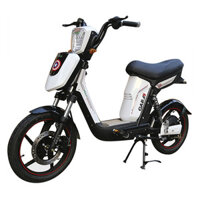XE ĐẠP ĐIỆN PEGA CAP A