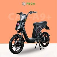 Xe đạp điện PEGA CAP A9