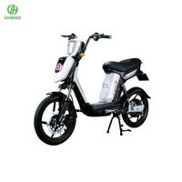 Xe đạp điện PEGA CAP AS