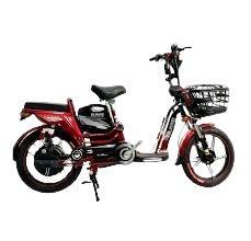 Xe đạp điện SONSU RUBY