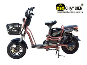 Xe đạp điện SONSU RUBY