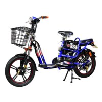 Xe đạp điện SONSU RUBY