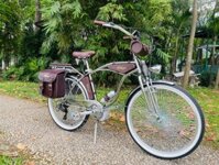 Xe đạp điện trợ lực cổ điển Aokbike