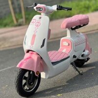 Xe Đạp Điện V1 Plus 2025 Bản Bình Và Pin Kèm Phụ Kiện