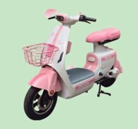 Xe đạp điện V1 Plus