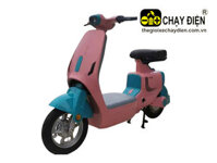 Xe đạp điện V1