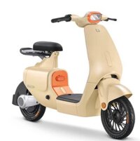 Xe Đạp Điện VC 2025