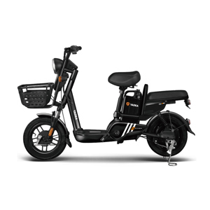 Xe đạp điện Yadea iGo