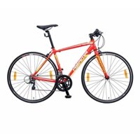 Xe đạp đua ASAMA RB2300T 700C (Tặng đèn còi + chắn bùn +bình nước+ giá đỡ bình nước+ lục giác)
