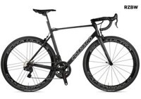 Xe đạp đua Colnago V3rs Disc Sram RED eTap AXS 400DB