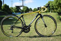 Xe đạp đua Giant OCR 5300 2019***