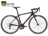 Xe đạp đua Giant SCR 2 - 2018