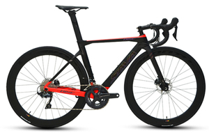 Xe đạp đua SAVA Carbon Colorado Disc 8020