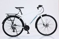 Xe đạp đường phố California City 450