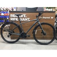 Xe đạp đường phố GIANT 2024 ESCAPE 1 CITY - Ghi - S