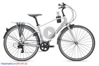 Xe đạp đường phố Giant MOMENTUM INEED MOCHA LTD 2023