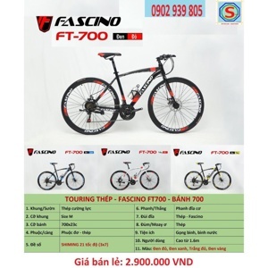 Xe đạp Fascino FT700