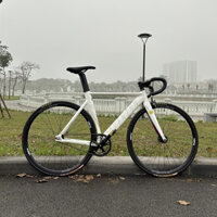 Xe đạp Fixed Gear AVENTON MATARO chính hãng (Ảnh và video thật shop tự quay chụp)