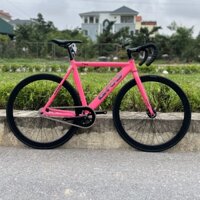Xe Đạp Fixed Gear Gray F10
