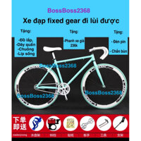 xe đạp fixed gear (lốp hơi loại mới có đi lùi)