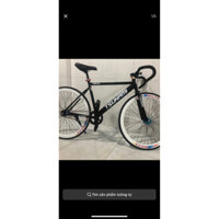 xe đạp fixed- single