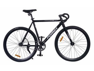 Xe đạp Fornix BF300 2016