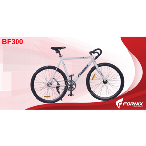 Xe đạp Fornix BF300 2016