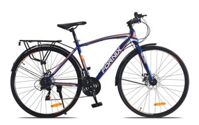 Xe đạp Fornix-FR307