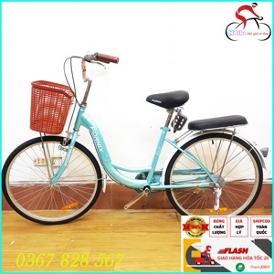 Xe đạp Fornix RG24