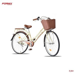 Xe đạp Fury BH601