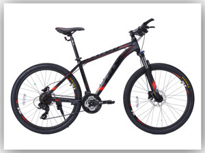 Xe đạp Galaxy A100