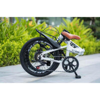 xe đạp gấp gọn aili