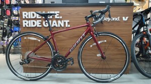 Xe đạp Giant Contend 1