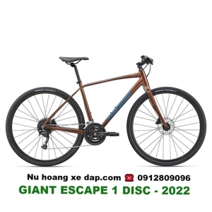 Xe đạp thể thao Giant Escape 1 D 2022