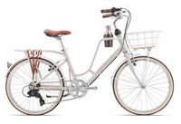 Xe đạp GIANT INEED LATTE 24