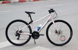 Xe đạp Giant LIV Alight 2 2020