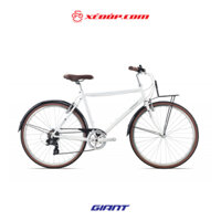 Xe đạp Giant Momentum 2022 Iride CX