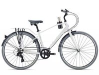 XE ĐẠP GIANT MOMENTUM - MOCHA