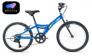 Xe đạp Giant MTX 20