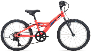 Xe đạp Giant MTX 20