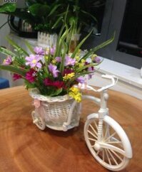 Xe đạp giỏ hoa bốn mùa 2