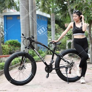 Xe đạp Goodfor G79